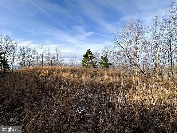 2nd image of 333 Nathaniel Mountain Rd