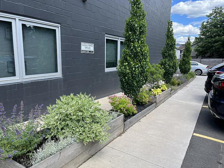 337 University Ave #2A — Photo 14