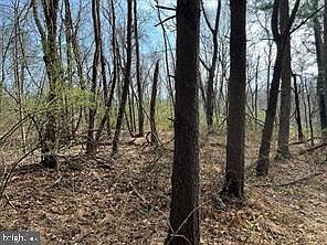 2nd image of 10 Shanktown Rd