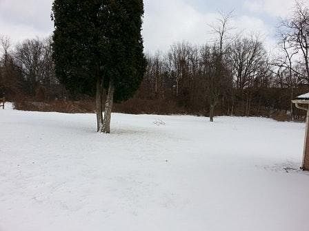 3rd image of 417 South Ave