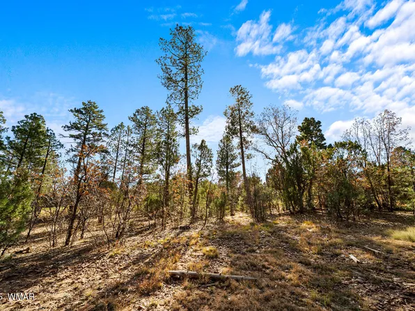 1521 Little Leaf Ln, Show Low, AZ 85901