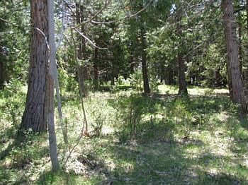 5th image of 10993 Northview Dr