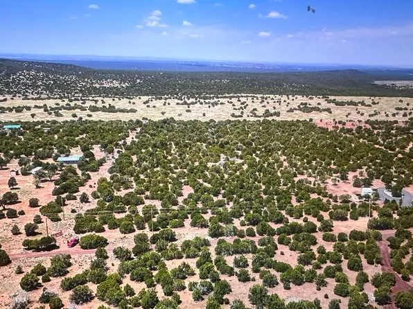 65 County Road 8148, Vernon, AZ 85940