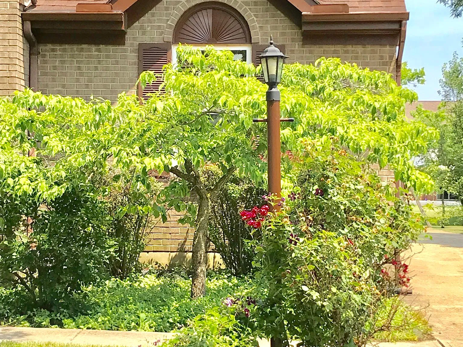 5768 Hassman Court — Photo 3