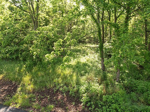 4th image of Pond Springs Rd