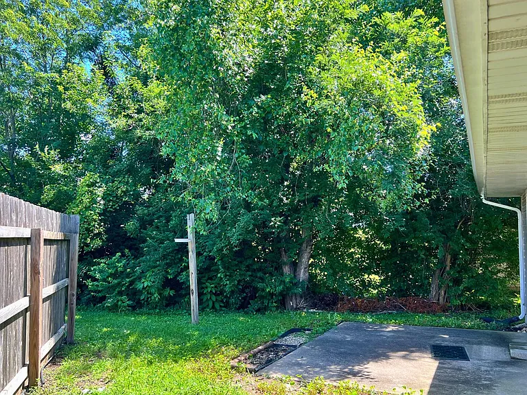 2509 Hollyhock Dr — Photo 16