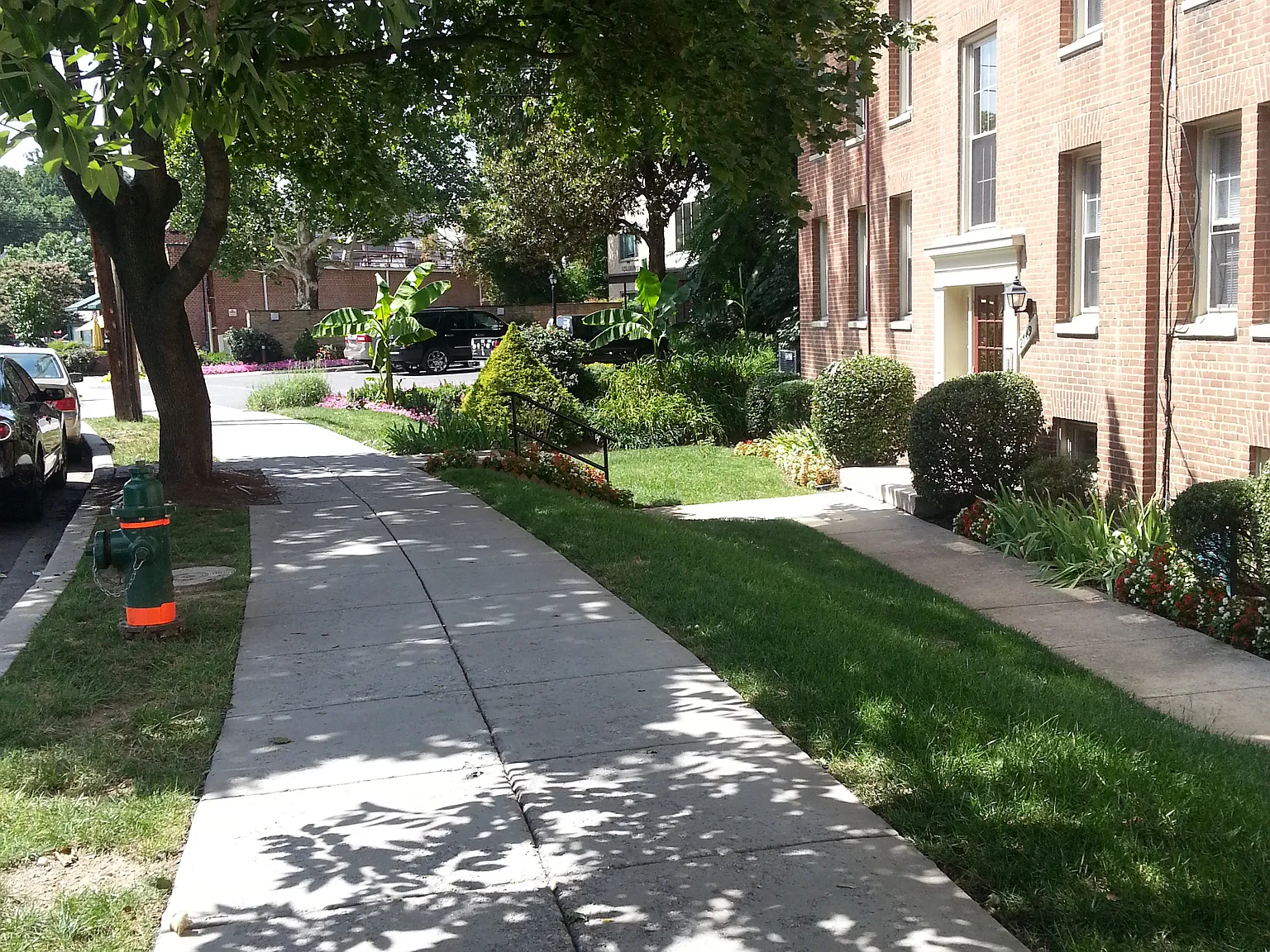 Studio, 590 sqft, $2,200 — Photo 3