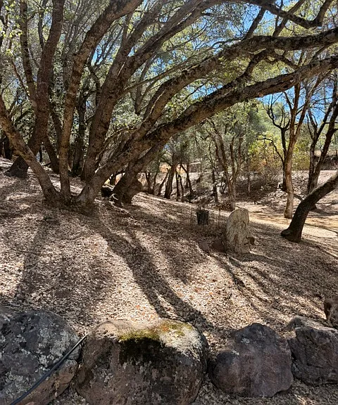 2330 Double O Mine Trl — Photo 49