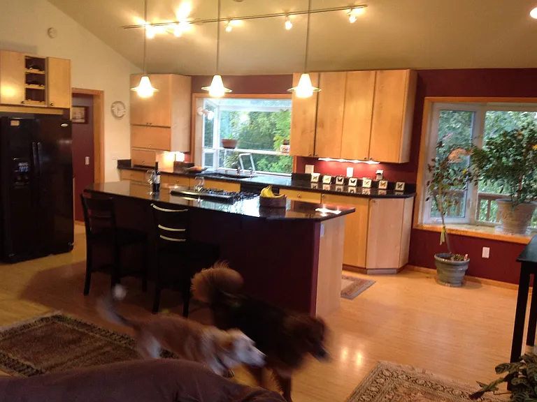 3657 Henderson Loop — Photo 6