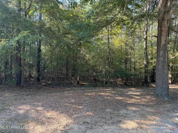 Deerwood Xing Lot 76-B, Canton, MS 39046