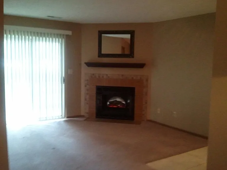 wood burning fireplace