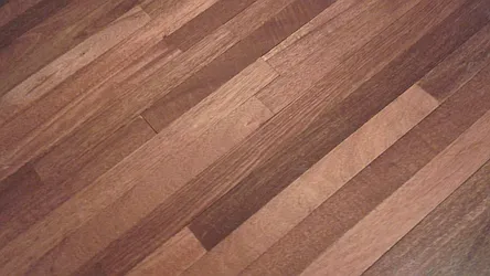 Rented by J Misrahi Realty Corp