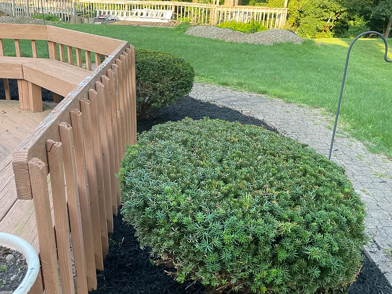 7611 Edgewood Lane This Is #A-house FOR — Photo 4