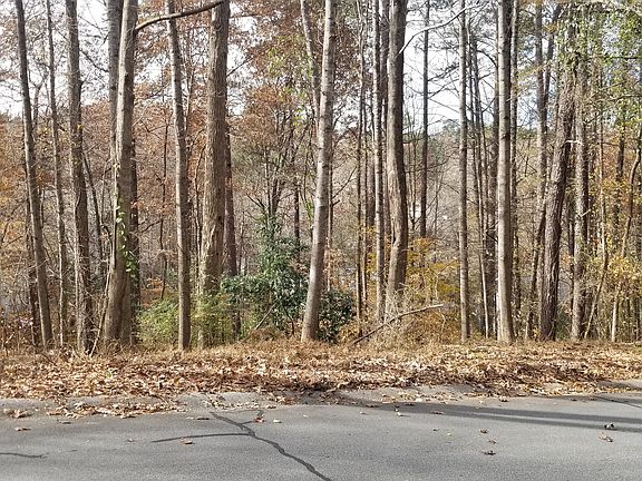 5th image of 3640 Hermitage Dr