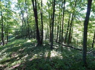 Victory Ridge Rd, Harrisville, WV 26362