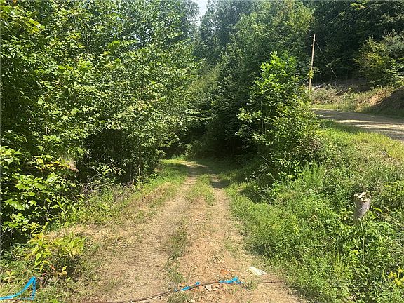 2nd image of TBA Stony Fork