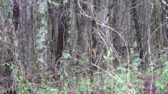 1st image of 2027AC Denton Rd