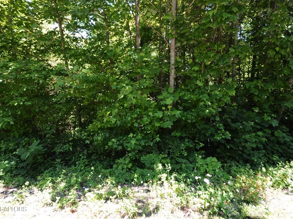 Wolfe Run Ln, Caryville, TN 37714