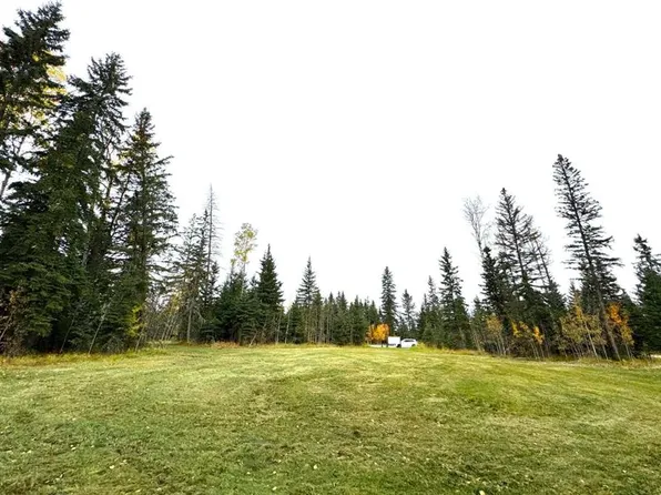 111 Meadow Ponds Dr, Clearwater County, AB T0M 0C0