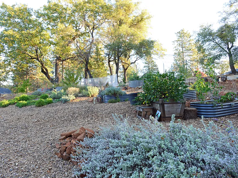 Ridge Top Ct — Photo 19
