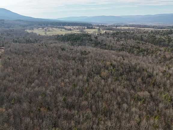 2nd image of Polk Rd #95