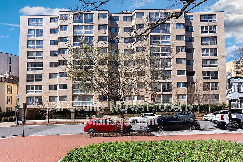 1 bed, 1.0 bath, 641 sqft, $2,500 — Photo 3