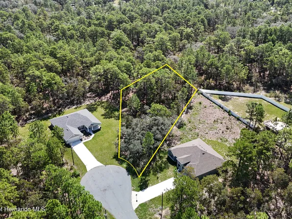 11344 Megargel Ct, Weeki Wachee, FL 34614