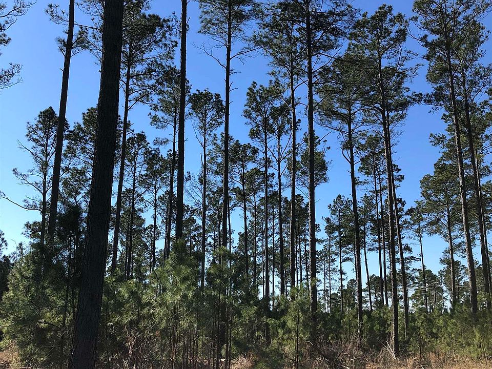 2nd image of Fm 2419/cr 157 Tract #A