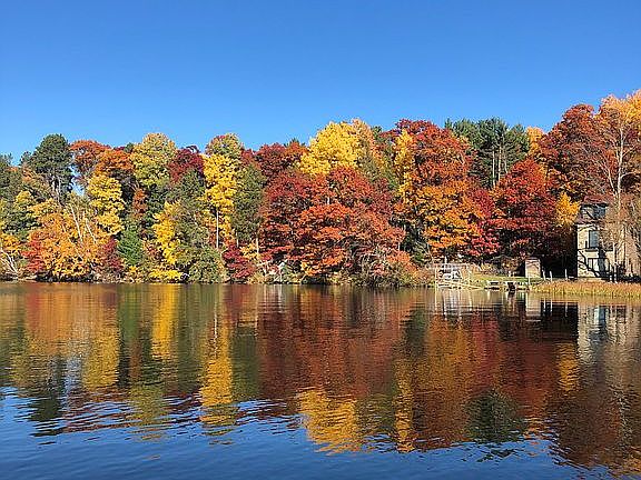 Fall colors on the lake
