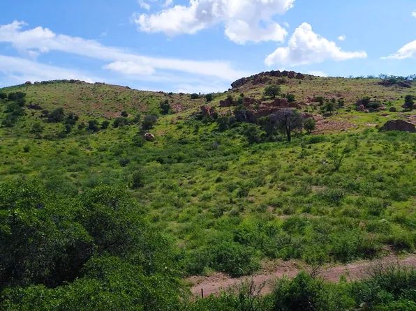 Lot 41 N Hidden Oaks Trail 39 acres -- #41, Douglas, AZ 85607