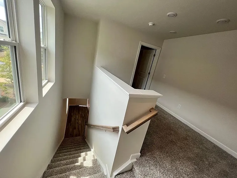 14209 Laughing Gull Dr — Photo 17