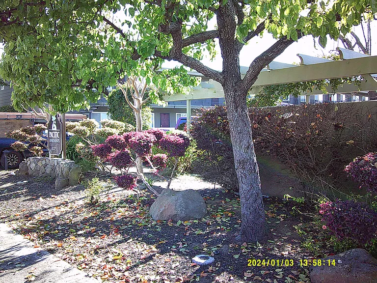 Pacific Apartments — Photo 5