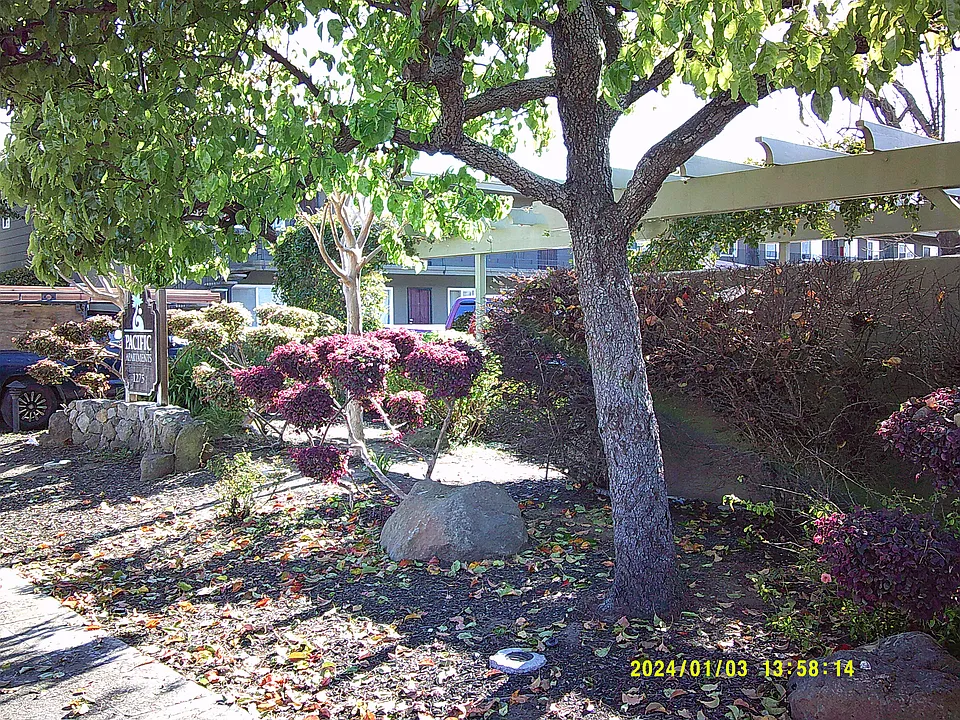 Pacific Apartments
