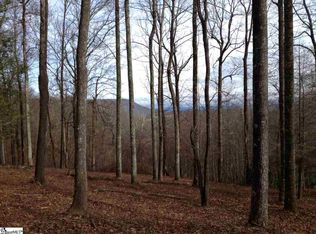 210 Yellowroot Ln, Landrum, SC 29356