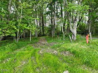 1776 Ripshin Mountain Rd, Roan Mountain, TN 37687