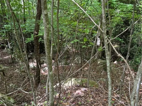105 Sassafrass Road, Beech Mountain, NC 28604