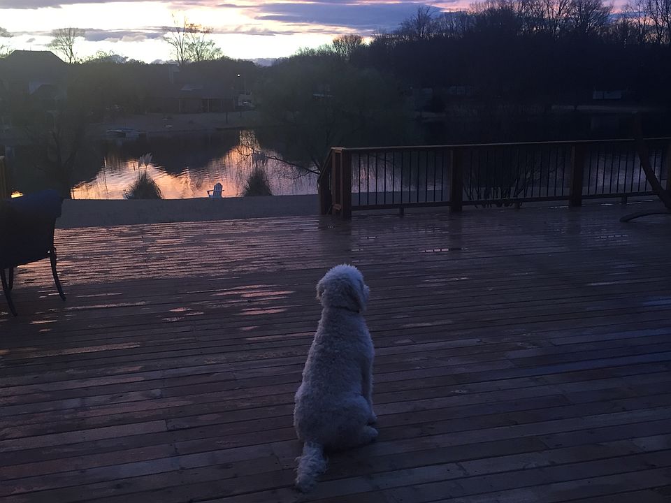 Perfect sunset no filter nee