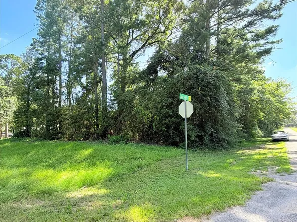 194 Oak Hollow Blvd, Magnolia, TX 77355