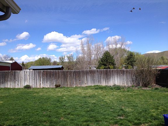 backyard view