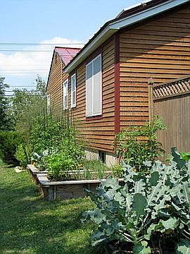 Raised Beds South Side