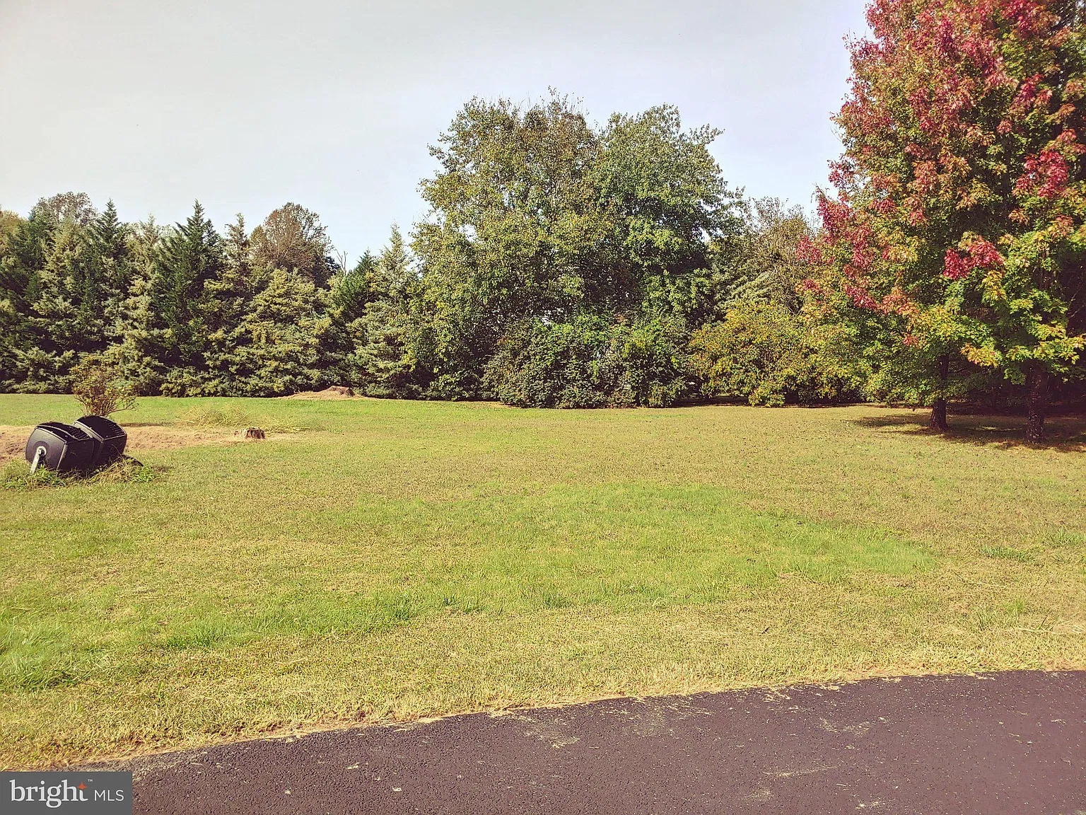 1 bed, 1.0 bath, 1000 sqft, $1,900 — Photo 3