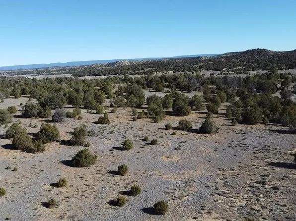 Arrowhead Rd, Pinehill, NM 87357