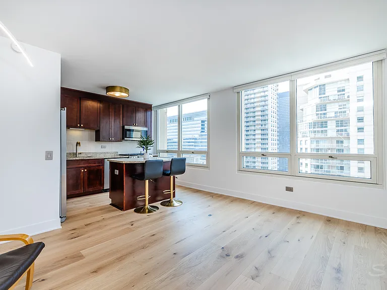 33 W Ontario St #31D — Photo 27