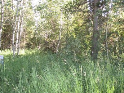 4376 Granite Rdg, Ashton, ID, 83420