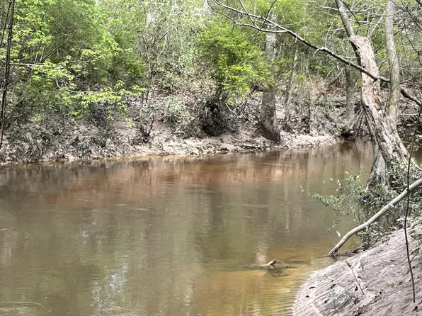 0 Stanford Lake Rd, Poplarville, MS 39470