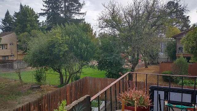 2 bed, 930 sqft, $2,450 — Photo 3