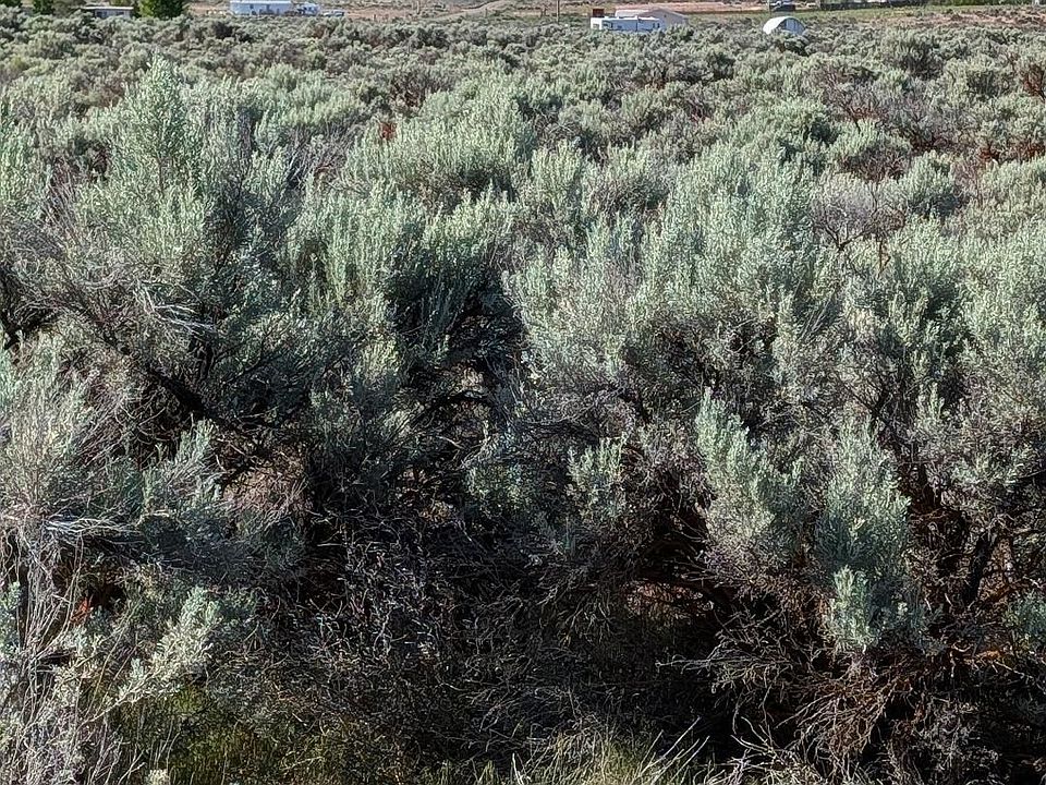 2nd image of 1700/1800 Christmas Valley Hwy