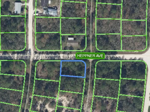 340 Dreamers Drive, Lake Placid, FL 33852