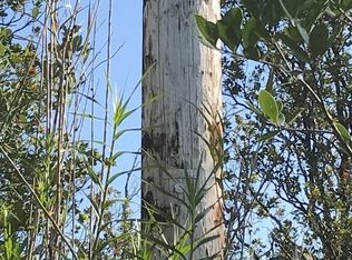 Palaninui Ave, Mountain View, HI 96771