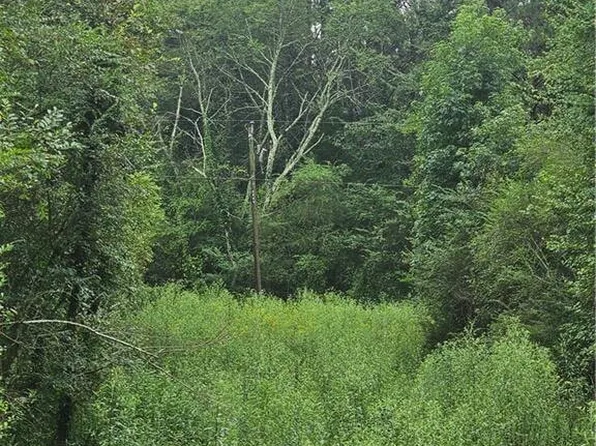 0 Crowe Springs Spur NW, Adairsville, GA 30103